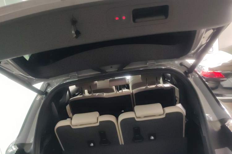 Used BYD Tang New Energy 2025 DM-i 115KM Prestige Model