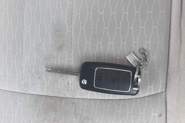 Used FORTHING Lingzhi 2023 M5 1.6L Practical Model 5 Seats