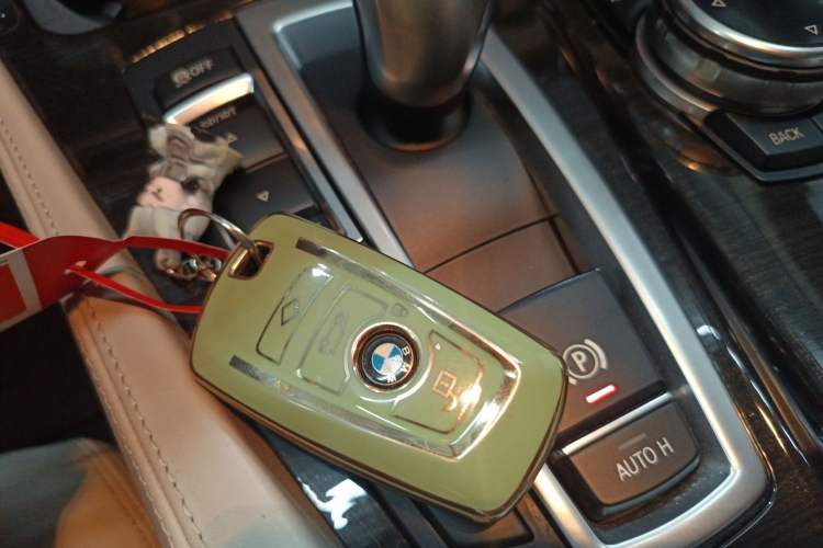 Used BMW 5 Series New Energy 2015 530Le