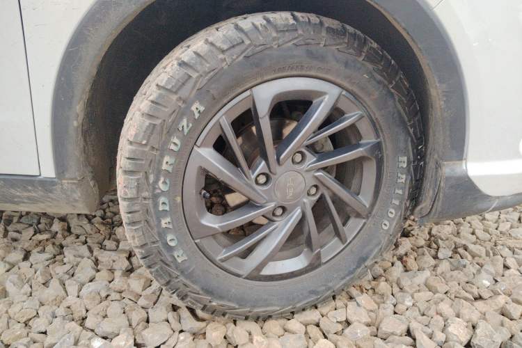 Used NETA V 2021 Standard Range Entertainment Edition
