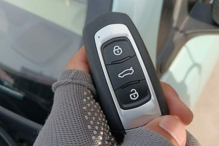 Used Geely Galaxy Panda 2024 Panda Mini 200km Endurance Bear