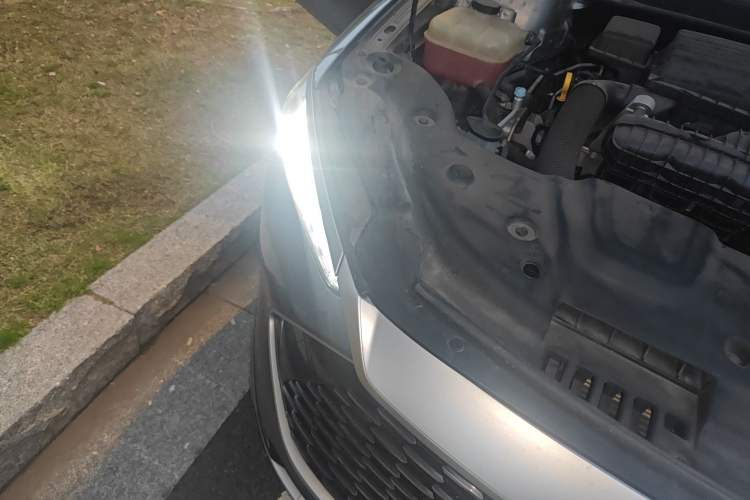 Used BYD Qin PLUS 2023 Champion Edition DM-i 55KM Superior Model