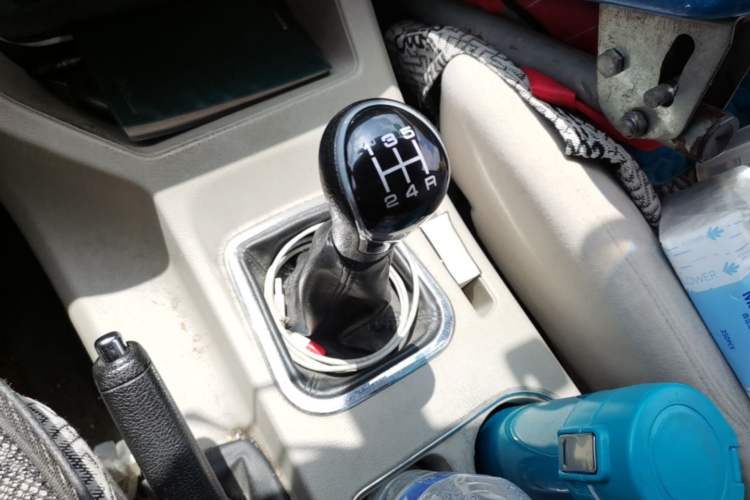 Used FORTHING Lingzhi 
