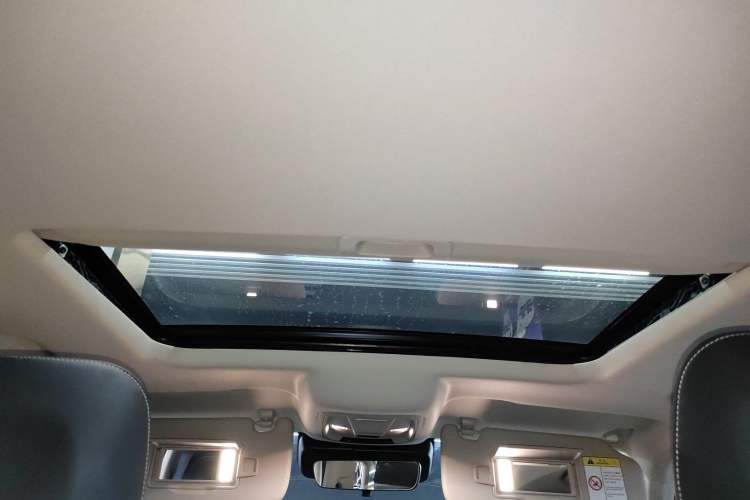 Used Tank 300 2024 2.0T Conqueror
