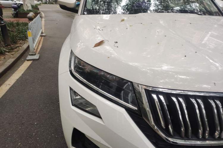 Used Skoda Kodiaq GT 2019 TSI330 Two-Wheel-Drive Luxury Edition China V Standard Right Front Headlight