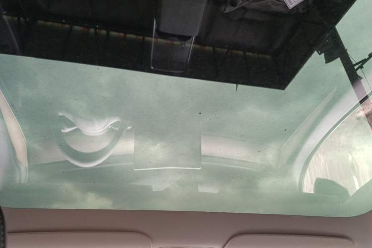 Used Tesla Model Y 2022 Rear-Wheel-Drive Version Headliner