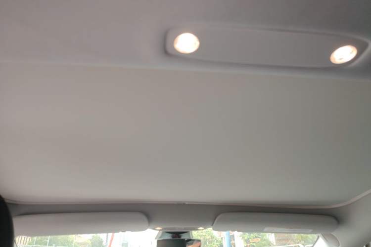 Used Tesla Model 3 2019 Standard Range Rear-Drive Upgraded Version Headliner