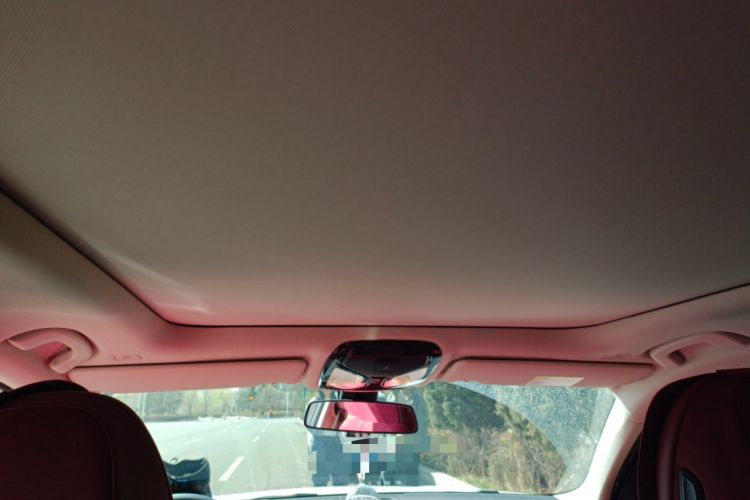 Used BMW 3 Series 2021 Second Facelift 320Li M Sport Package Headliner