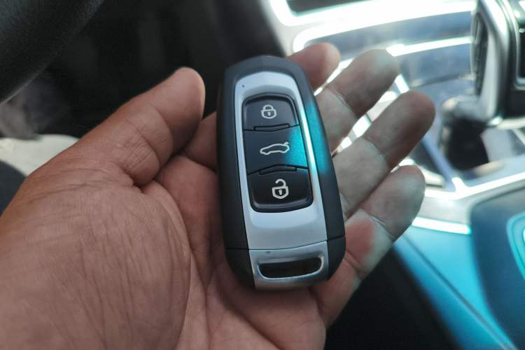 Used Geely Auto Emgrand New Energy 2018 EV450 Prestige Model
