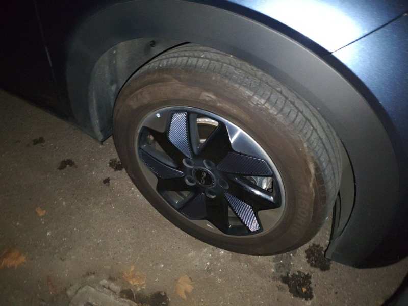 Used BYD Dolphin 2025 420km Free Edition — 17