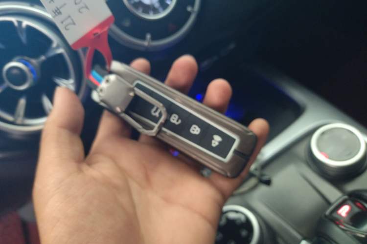 Used Tank 300 2021 Off-Road Edition 2.0T Challenger