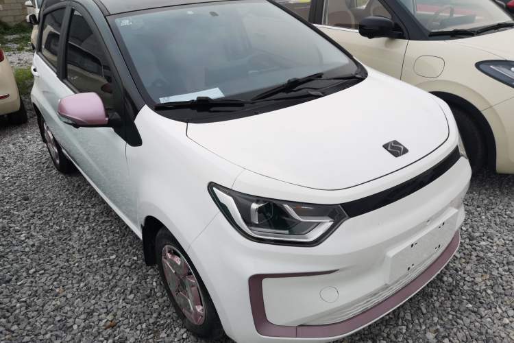 Used SOL E10X 2022 Flower Fairy Design Sunflower Exterior 1