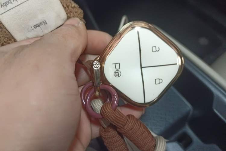 Used Wuling Bingo PLUS 2024 330 km Range Five-Seater Version