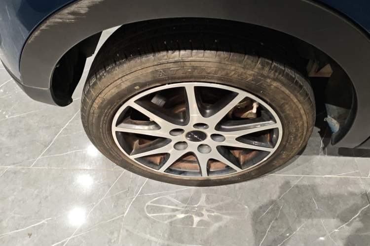 Used Dayun Yuehu 2021 32.85 kWh Two-Wheel-Drive Sprite Version
