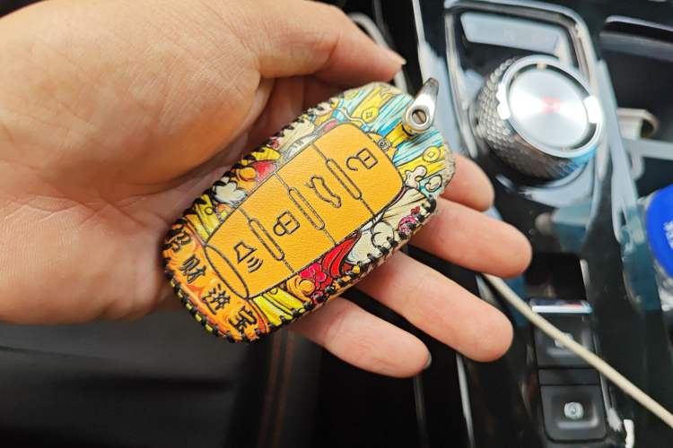 Used Haval DARGO 2022 2.0T DCT Two-Wheel Drive Huazhong Hound Edition