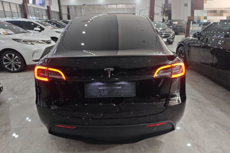 Used Tesla Model Y 2023 Rear-Wheel-Drive Version Rear