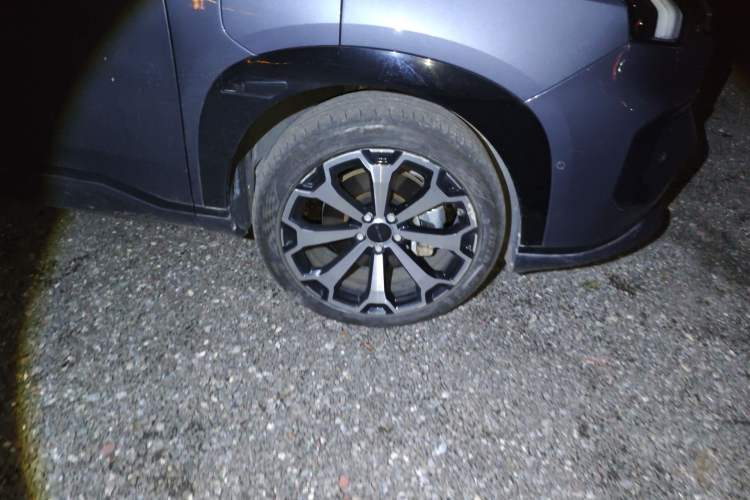 Used AION V 2024 Aion Tyrannosaurus 650 LiDAR Edition