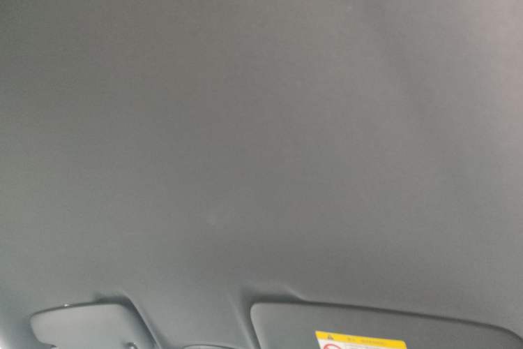 Used Porsche 718 2018 Cayman 2.0T Headliner