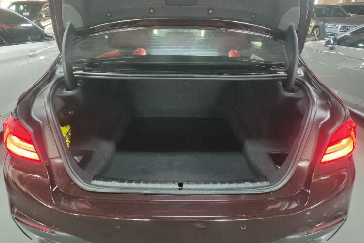 Used BMW 5 Series 2019 530Li Leading Model M Sport Package
