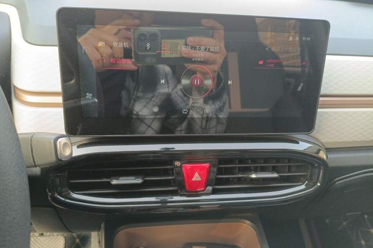 Used SOL E10X 2022 Flower Fairy Design Four-Leaf Clover Audio And AC Panel