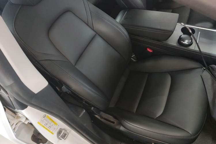 Used Tesla Model 3 2021 Revised Version Standard Range Rear-Wheel Drive Upgraded Edition 3D1
