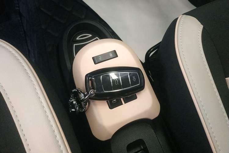 Used ORA Black Cat 2022 351 km Range Comfort Version Ternary Lithium