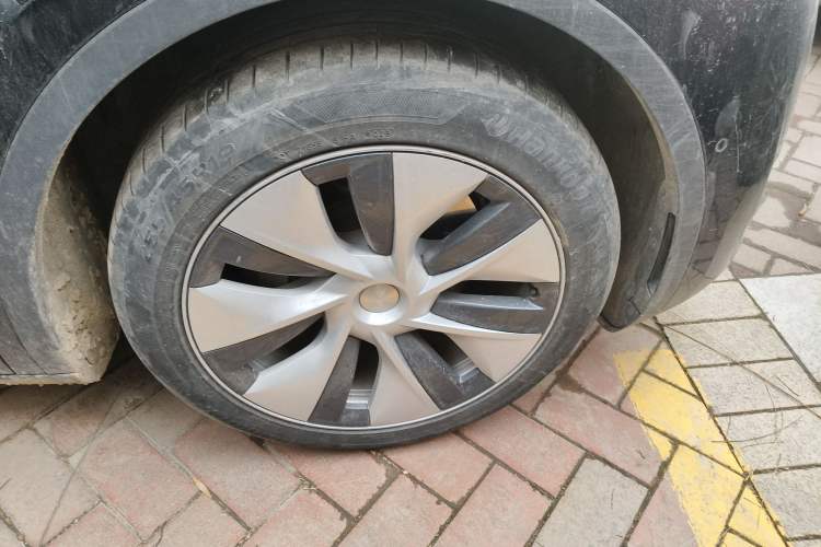 Used Tesla Model Y 2022 Revised Version Long-Range All-Wheel Drive
