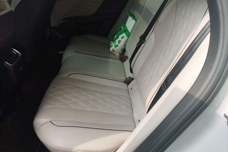 Used Wey Mocha 2021 2.0T Four-Wheel Drive Premium Edition
