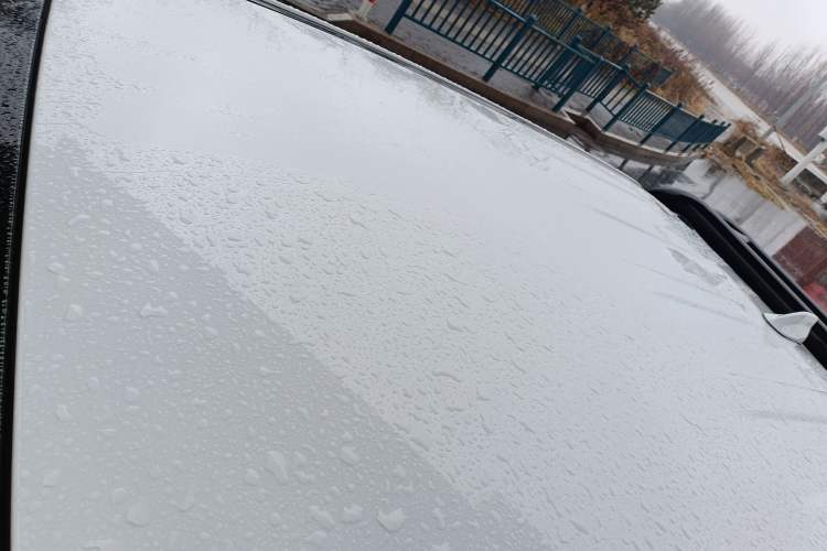 Used Great Wall Poer 2019 2.0T Commercial Version Manual Diesel Two-Wheel Drive Elite Long-Box GW4D20M