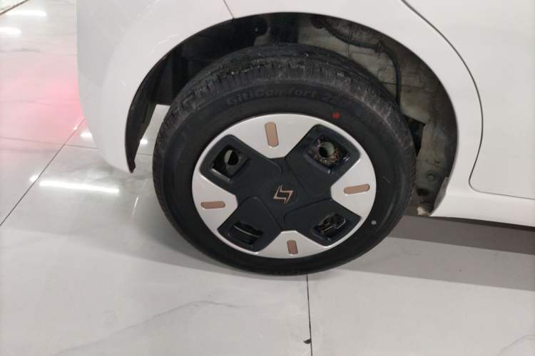 Used SOL E10X 2022 Flower Fairy Design Dandelion