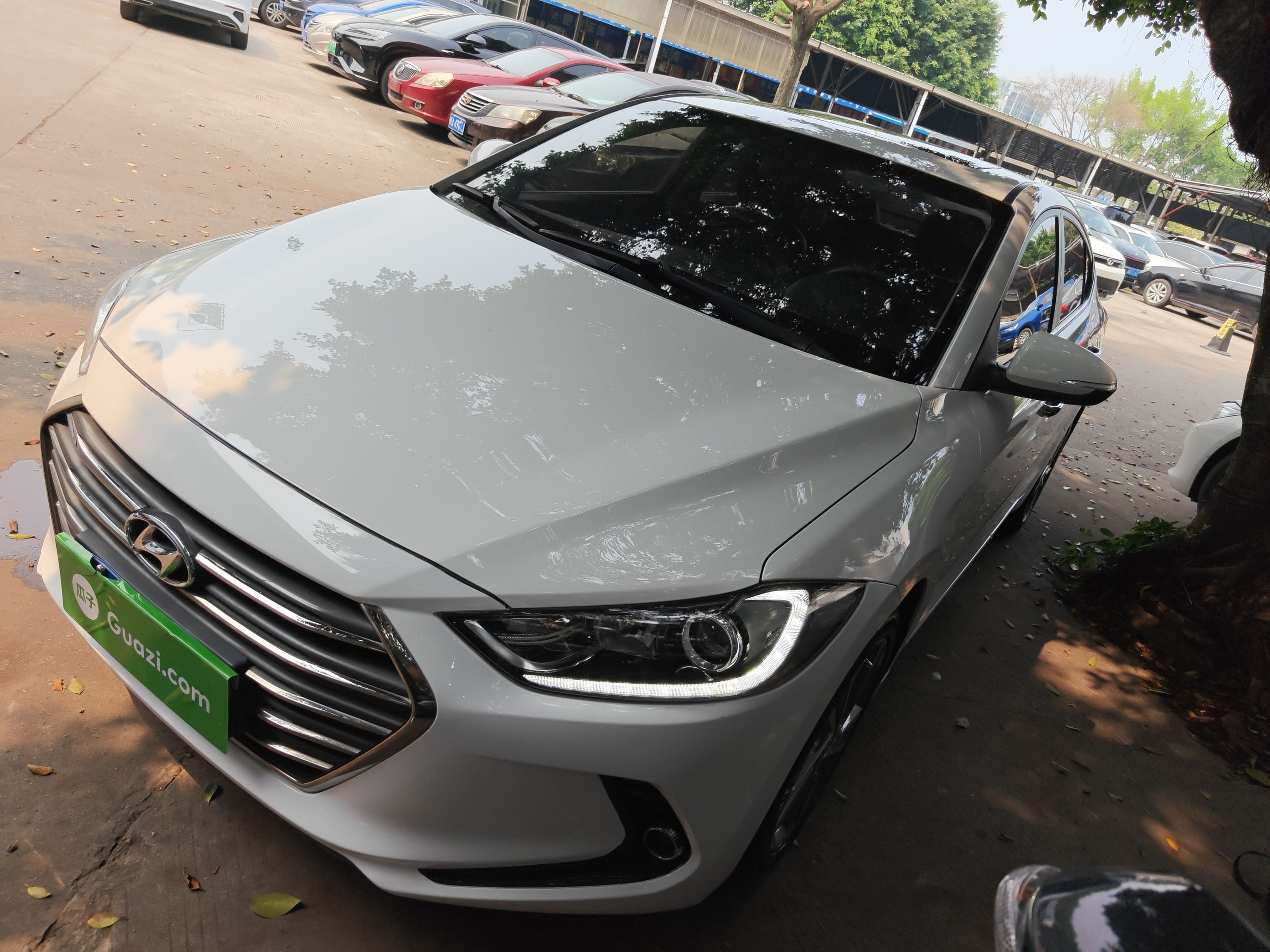 تحت مقدمة السيارة