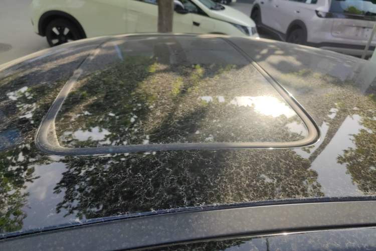 Used BYD Seal 05 DM-i 2025 DM-i Intelligent Drive 120KM Flagship Model