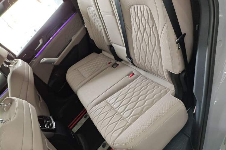 Used BYD Tang New Energy 2025 Intelligent Driving Version DM-i 115KM Flagship Edition Left Rear Seat