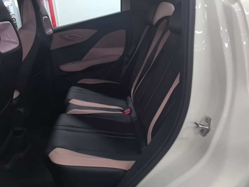Used BYD Seagull 2025 Intelligent Driving Version 305 km Dynamic Edition — 16