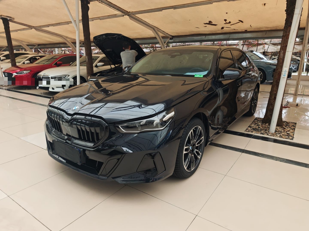 تحت مقدمة السيارة