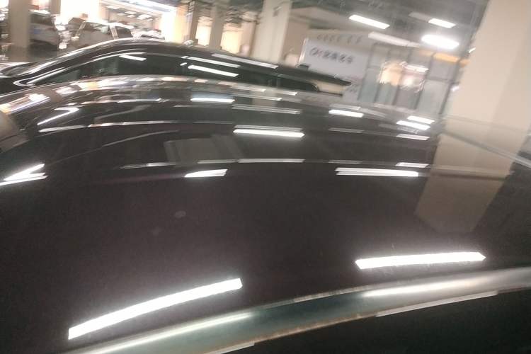 Used Hongqi HQ9 2023 2.0T Smart Connect Flagship Edition Roof
