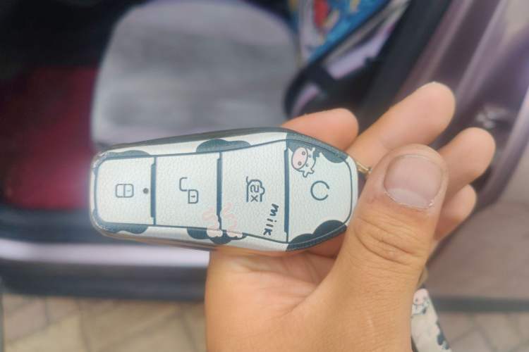 Used BYD Dolphin 2021 401km Knight Edition Vehicle Key