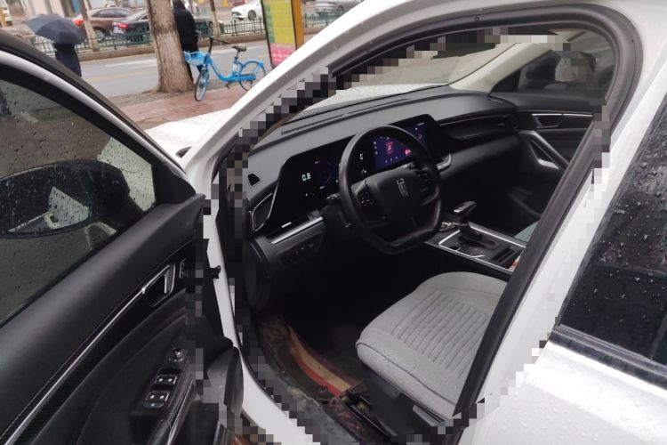 Used Bestune T55 2022 1.5T Automatic Leap Edition Driver Seat