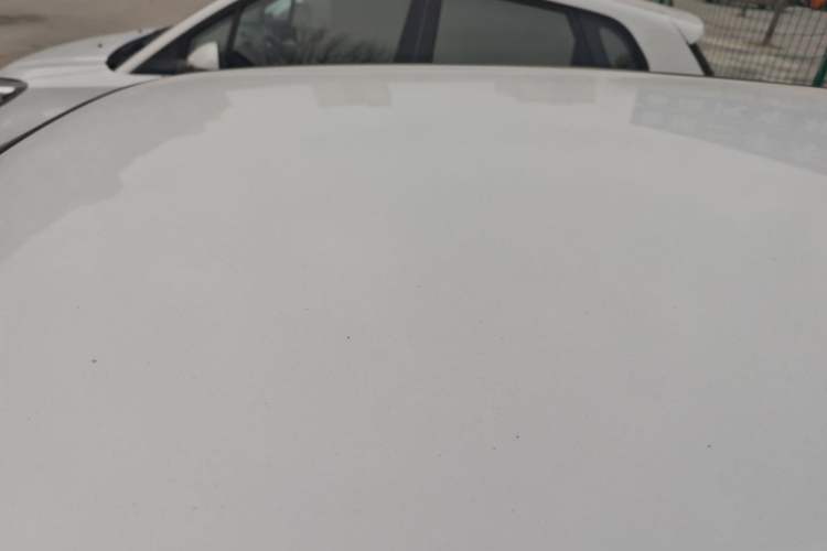 Used Haima Aishang EV 2021 Xiaoyan Luxury Edition