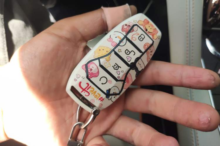 Used BYD Song PLUS New Energy 2021 EV Deluxe Model Vehicle Key