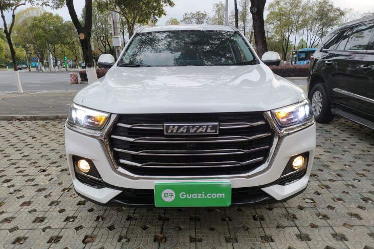 Used Haval H6 2023 National Trend Edition 1.5T Automatic Urban Version
