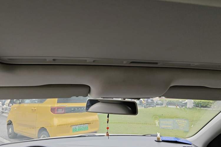 Used Skoda Rapid 2013 1.6L Automatic Smart Selection Model Headliner