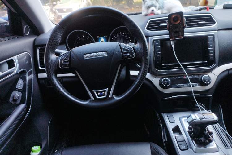 Used Haval H6 Coupe 2017 Blue Label 2.0T Automatic Two-Wheel Drive Urban Model Steering Wheel