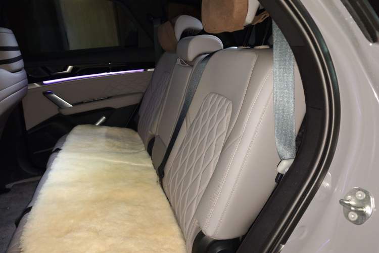 Used BYD Tang New Energy 2025 Model Smart Drive Version DM-i 175KM Deluxe Version