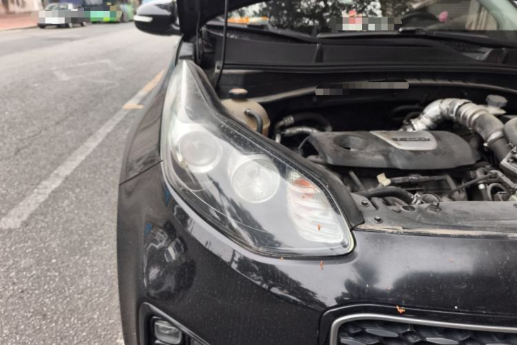 Used Kia KX5 2016 1.6T Automatic Two-Wheel Drive Premium
