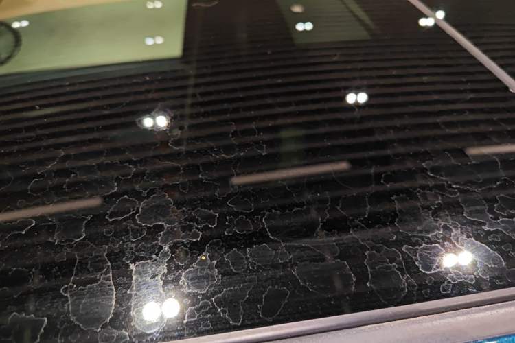 Used ORA Good Cat 2023 401 km Standard Range Prestige Version Lithium Iron Phosphate