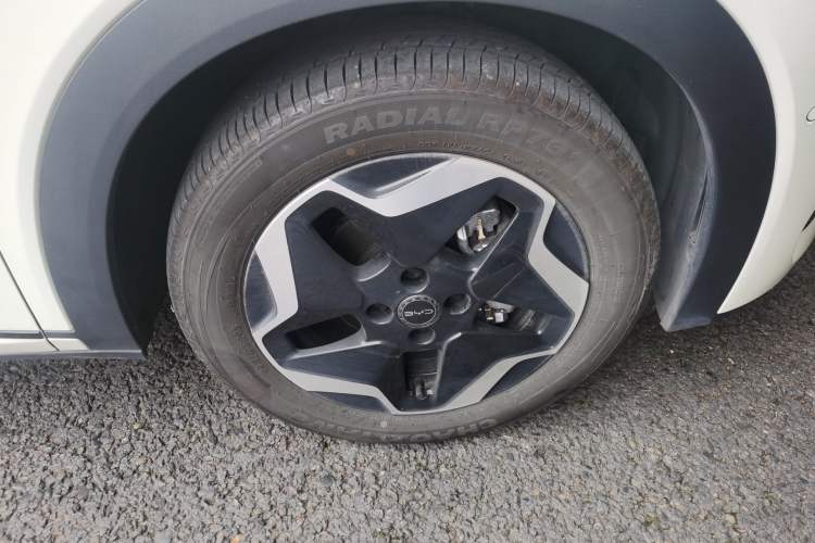 Used BYD Dolphin 2025 Smart Drive Version 420 km Freedom Edition
