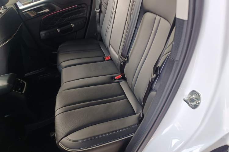 Used Tank 300 2024 2.0T Conqueror