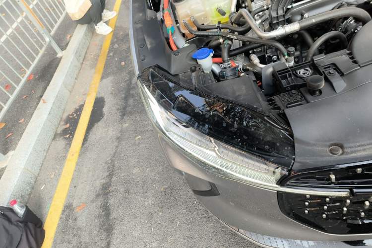 Used Lincoln Z 2024 2.0T Two-Wheel Drive Luxury Hybrid Version