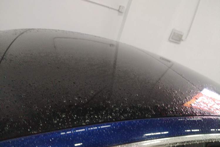 Used Tesla Model 3 2020 Standard Range Rear-Wheel Drive Upgraded Version Roof